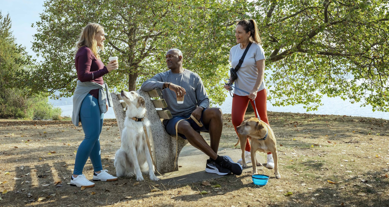 Three people in the park with their dogs